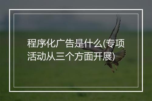 程序化广告是什么(专项活动从三个方面开展)