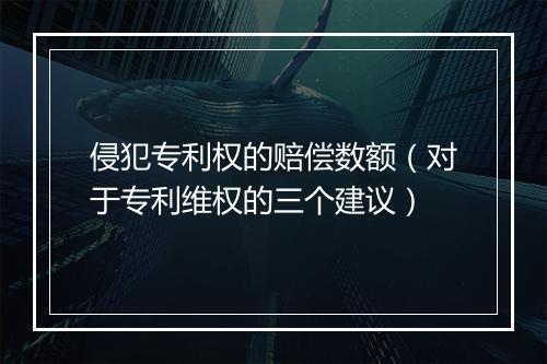 侵犯专利权的赔偿数额（对于专利维权的三个建议）