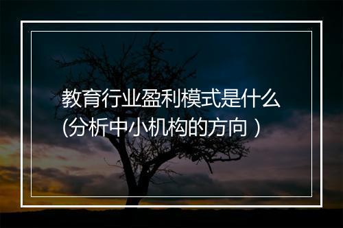 教育行业盈利模式是什么(分析中小机构的方向）