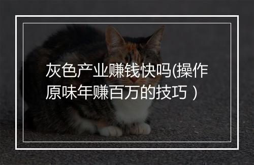 灰色产业赚钱快吗(操作原味年赚百万的技巧）