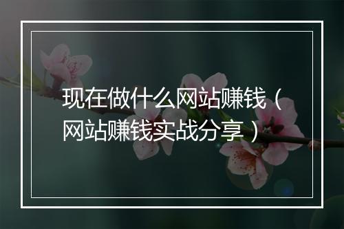 现在做什么网站赚钱（网站赚钱实战分享）