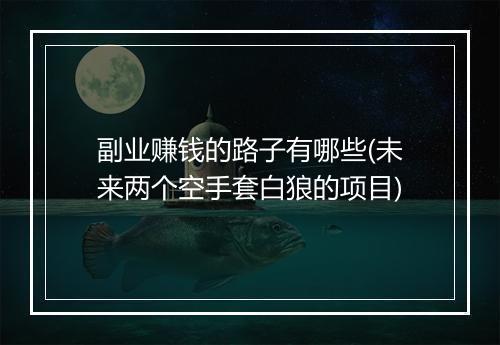 副业赚钱的路子有哪些(未来两个空手套白狼的项目)