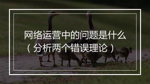 网络运营中的问题是什么（分析两个错误理论）