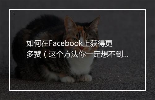 如何在Facebook上获得更多赞（这个方法你一定想不到）