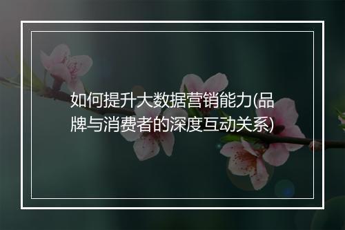如何提升大数据营销能力(品牌与消费者的深度互动关系)