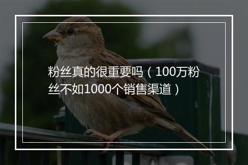 粉丝真的很重要吗（100万粉丝不如1000个销售渠道）