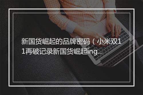 新国货崛起的品牌密码（小米双11再破记录新国货崛起ing）