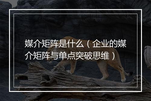 媒介矩阵是什么（企业的媒介矩阵与单点突破思维）
