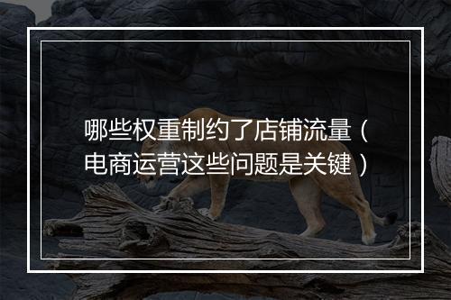 哪些权重制约了店铺流量（电商运营这些问题是关键）