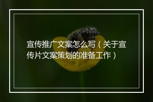 宣传推广文案怎么写（关于宣传片文案策划的准备工作）