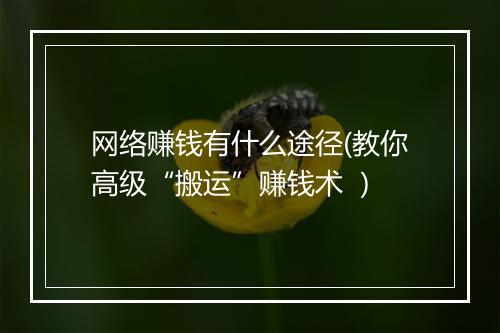 网络赚钱有什么途径(教你高级“搬运”赚钱术 ）