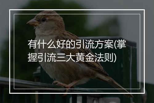 有什么好的引流方案(掌握引流三大黄金法则)