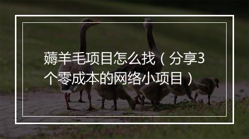 薅羊毛项目怎么找（分享3个零成本的网络小项目）