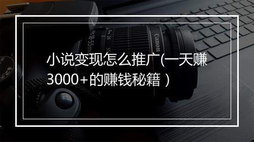 小说变现怎么推广(一天赚3000+的赚钱秘籍）