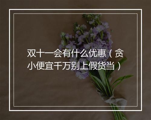 双十一会有什么优惠（贪小便宜千万别上假货当）