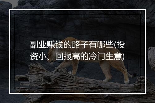 副业赚钱的路子有哪些(投资小、回报高的冷门生意)