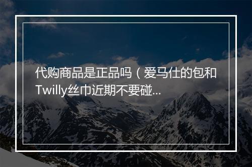 代购商品是正品吗（爱马仕的包和Twilly丝巾近期不要碰）