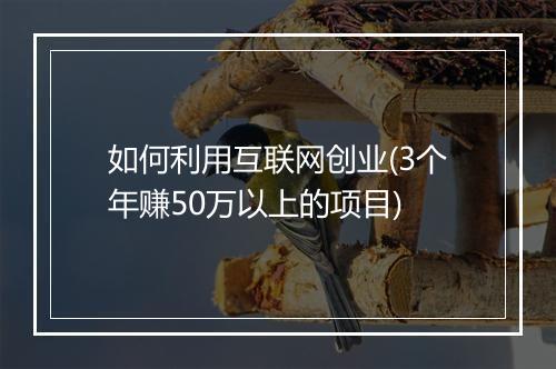 如何利用互联网创业(3个年赚50万以上的项目)