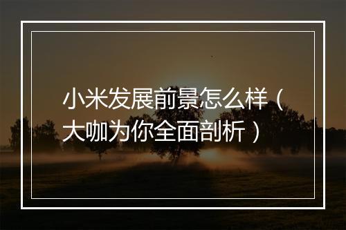 小米发展前景怎么样（大咖为你全面剖析）