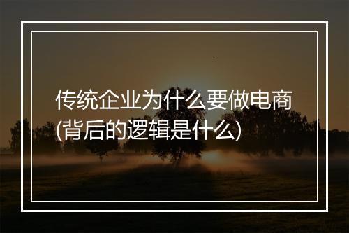 传统企业为什么要做电商(背后的逻辑是什么)