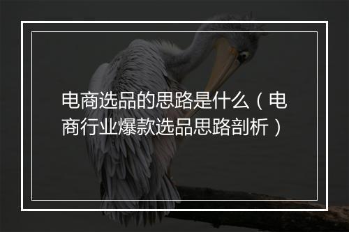 电商选品的思路是什么（电商行业爆款选品思路剖析）