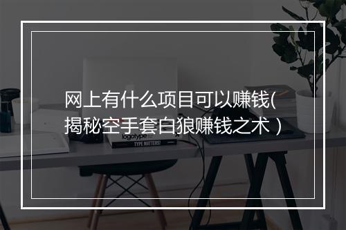 网上有什么项目可以赚钱(揭秘空手套白狼赚钱之术）