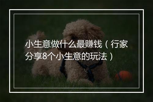 小生意做什么最赚钱（行家分享8个小生意的玩法）