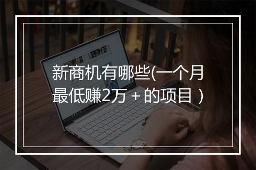 新商机有哪些(一个月最低赚2万＋的项目）