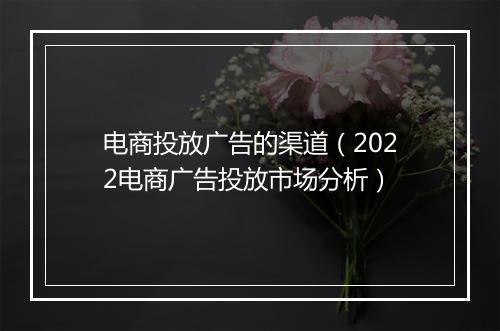 电商投放广告的渠道（2022电商广告投放市场分析）