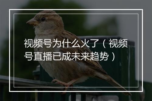 视频号为什么火了（视频号直播已成未来趋势）