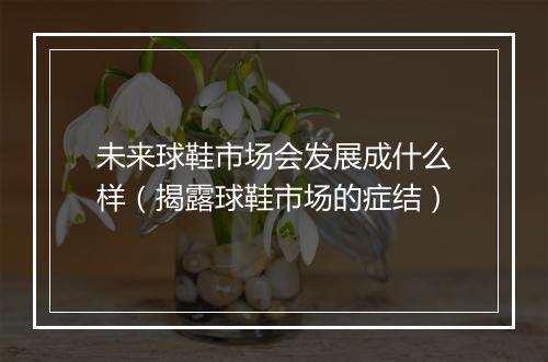 未来球鞋市场会发展成什么样（揭露球鞋市场的症结）