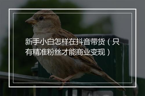 新手小白怎样在抖音带货（只有精准粉丝才能商业变现）