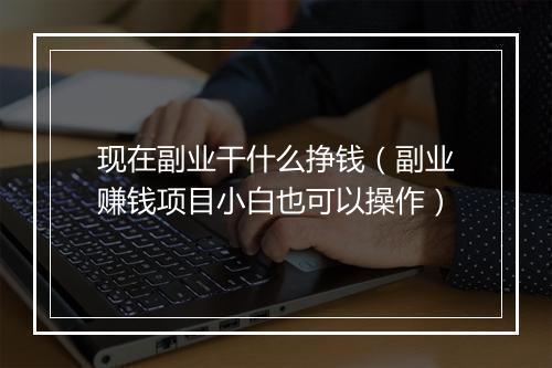 现在副业干什么挣钱（副业赚钱项目小白也可以操作）