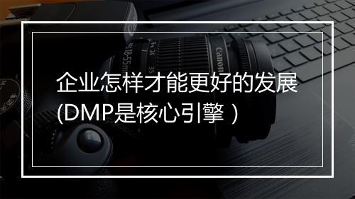 企业怎样才能更好的发展(DMP是核心引擎）