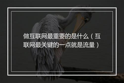 做互联网最重要的是什么（互联网最关键的一点就是流量）
