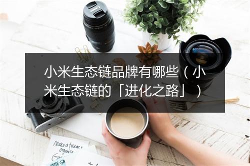 小米生态链品牌有哪些（小米生态链的「进化之路」）