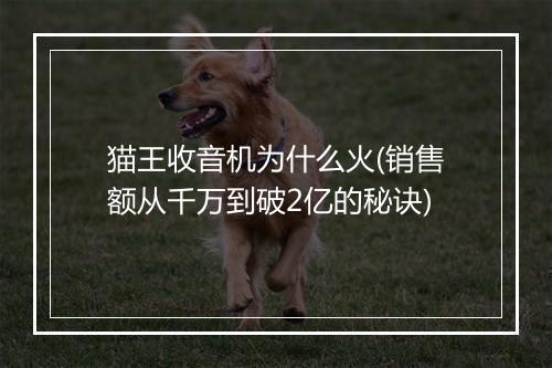 猫王收音机为什么火(销售额从千万到破2亿的秘诀)