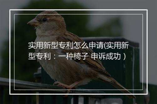 实用新型专利怎么申请(实用新型专利：一种椅子 申诉成功）