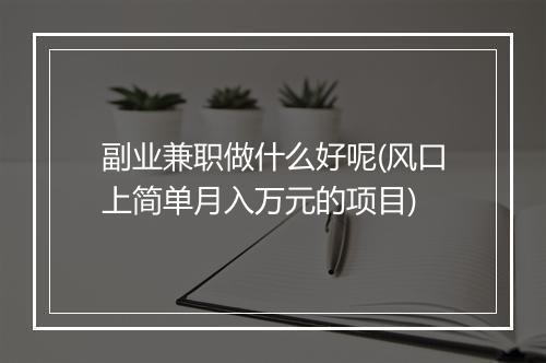 副业兼职做什么好呢(风口上简单月入万元的项目)