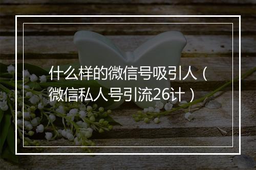 什么样的微信号吸引人（微信私人号引流26计）