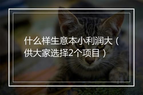 什么样生意本小利润大（供大家选择2个项目）