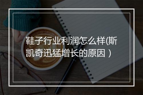 鞋子行业利润怎么样(斯凯奇迅猛增长的原因）