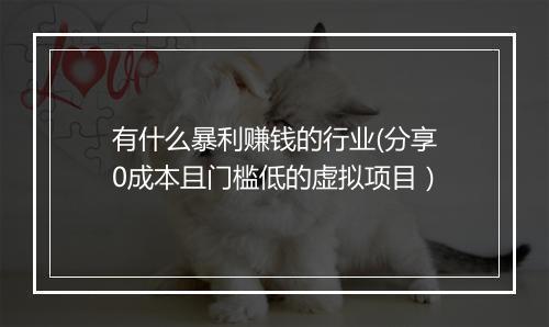 有什么暴利赚钱的行业(分享0成本且门槛低的虚拟项目）