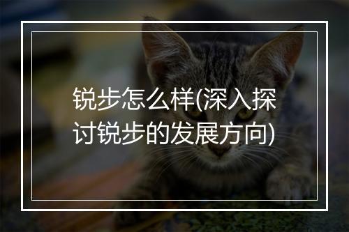 锐步怎么样(深入探讨锐步的发展方向)