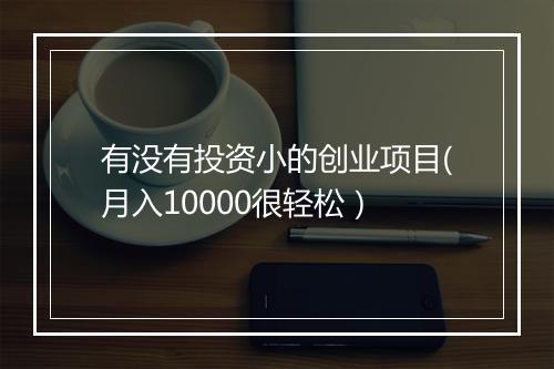 有没有投资小的创业项目(月入10000很轻松）