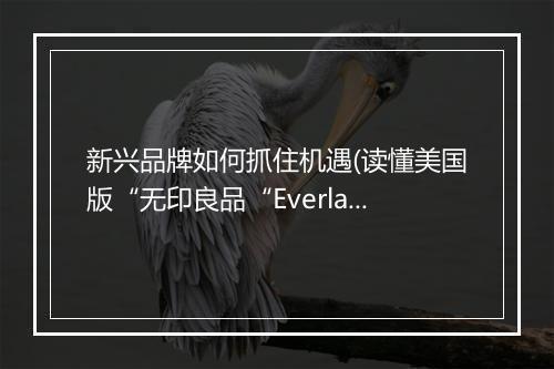 新兴品牌如何抓住机遇(读懂美国版“无印良品“Everlane的打法）