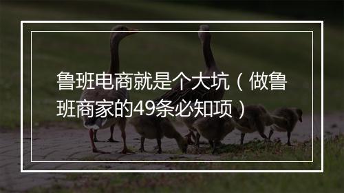 鲁班电商就是个大坑（做鲁班商家的49条必知项）