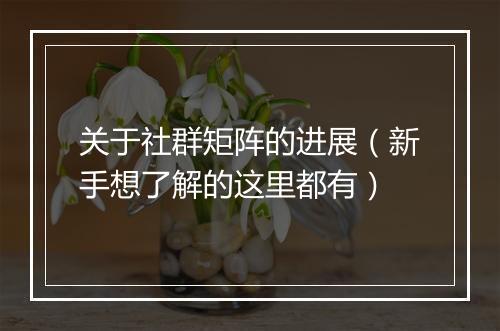 关于社群矩阵的进展（新手想了解的这里都有）