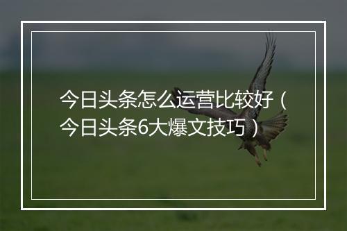 今日头条怎么运营比较好（今日头条6大爆文技巧）