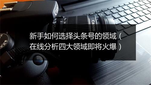 新手如何选择头条号的领域（在线分析四大领域即将火爆）